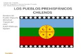 Aborígenes chilenos