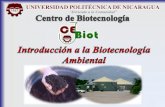 Introducción a la biotecnología ambiental (07 01 2011)