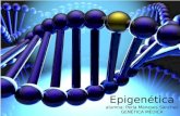 Epigenética y su impacto en la salud
