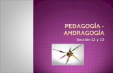 Andragogia vs Pedagogia
