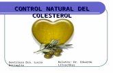 Control natural del colesterol