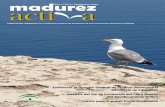 Revista Madurez Activa nº 11