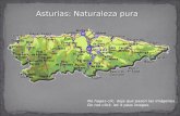 Asturias: Naturaleza pura