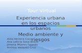 Tour virtual (1) Psicología Ambiental experiencia en espacios urbanos medio ambiente y riesgo