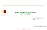ENJ-200: Procedimiento Penal Ambiental (Lic. Andrés Chalas)