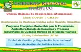 Gobierno regionalhuanuco cop20