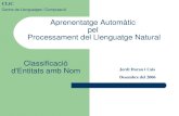 Aprenentatge Automàtic pel Processament del Llenguatge Natural