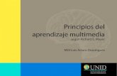02 principios del aprendizaje multimedia