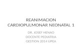 Reanimacion cardiopulmonar neonatal 2014