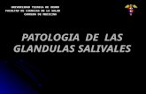 Patologia de las glandulas salivales