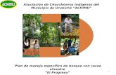 Plan de manejo especifico de bosque con cacao silvestre "El Progreso"