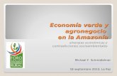 Economía verde y agronegocio en la Amazonía