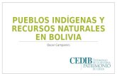 Pueblos indígenas y recursos naturales en Bolivia