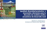 Igualdad, diversidad productivae innovación: elementos para la discusión de modelos andino amazónicos de desarrollo rural