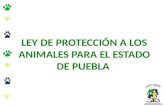 LEY DE PROTECCION DE ANIMALES DEL ESTADO DE PUEBLA