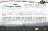 Café Fog Mountain Descripción Español