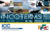Equipo 7 incoterms master