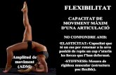 Flexibilitat i velocitat