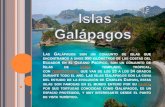 Islas Galápagos Mariam Mero