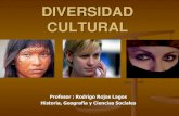 Diversidad cultural 2013