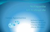 Netiquette - Grupo Aguamarina