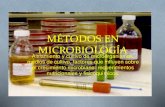 Métodos en microbiología