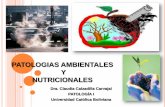 Patologias Ambientais y Nutricionais