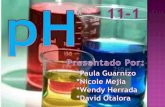 Trabajo de quimica "pH"