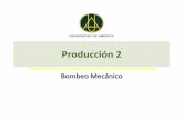 Producción 2 (bombeo mecanico)