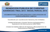 Presentación Viceministerio de Exploración y Explotación de Hidrocarburos - Audiencia Pública enero 2014