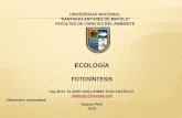 Clase 6  ecología 2013-ii