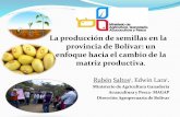 La producción de semillas en la provincia de Bolívar: un enfoque hacia el cambio de la matriz productiva.