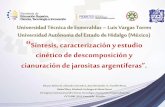 “Síntesis, caracterización y estudio cinético de descomposición y cianuración de jarositas argentíferas”.
