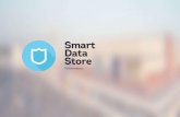 SmartDataStore presentation eng 2014