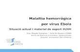 Ebola situació actual i material de suport HUVH