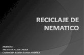 Neumaticos Exposicion