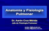 Anatomía y fisiología pulmonar