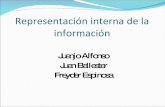 Representacion Interna De La Informacion