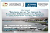Plan Estrategico para el Desarrollo de la Maricultura en la Costa Sur del Perú