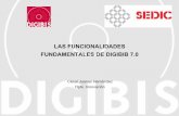 Las funcionalidades fundamentales de DIGIBIB 7.0, de César Juanes Hernández