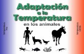 Adaptación a la temperatura en animales