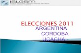 ELECCIONES 2009 - 2011