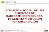 Situacion Actual De Los Servicios Radioeléctricos