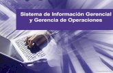 Sistema de información gerencial y gerencia de operaciones