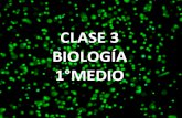 1° Bio   Clase 3 - Membrana plasmática y célula procarionte
