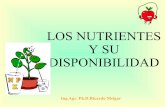 2)    Los Nutrientes y su Disponibilidad (visita  M E L G A R 2007)