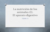 La nutrición de los animales (I). El aparato digestivo