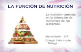 TRABAJO DE LA NUTRICIÓN DE MARÍA