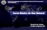 Gas natural en venezuela