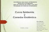 Curva epidemia y Corredor endémico.